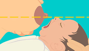 wow-l2-breastfeeding-id10032-04.jpg